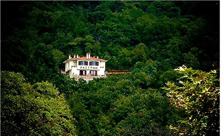 Rastoni Pelion Hotel Vizítsa Buitenkant foto