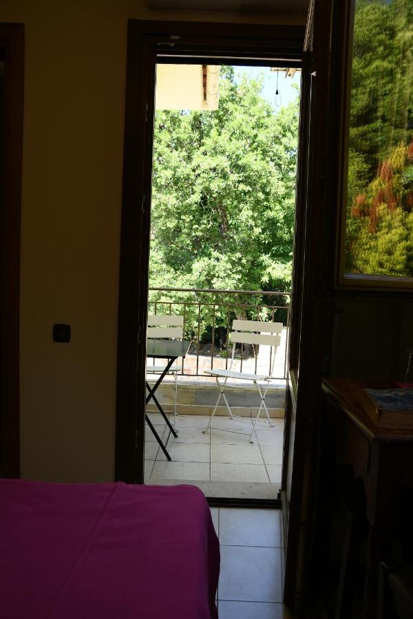 Rastoni Pelion Hotel Vizítsa Buitenkant foto