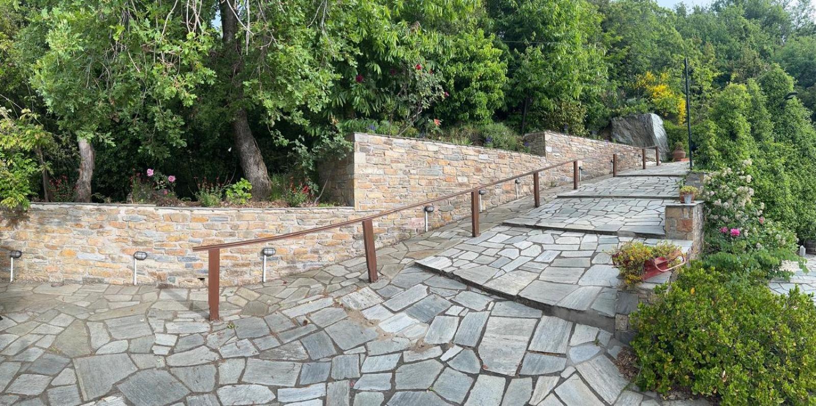 Rastoni Pelion Hotel Vizítsa Buitenkant foto