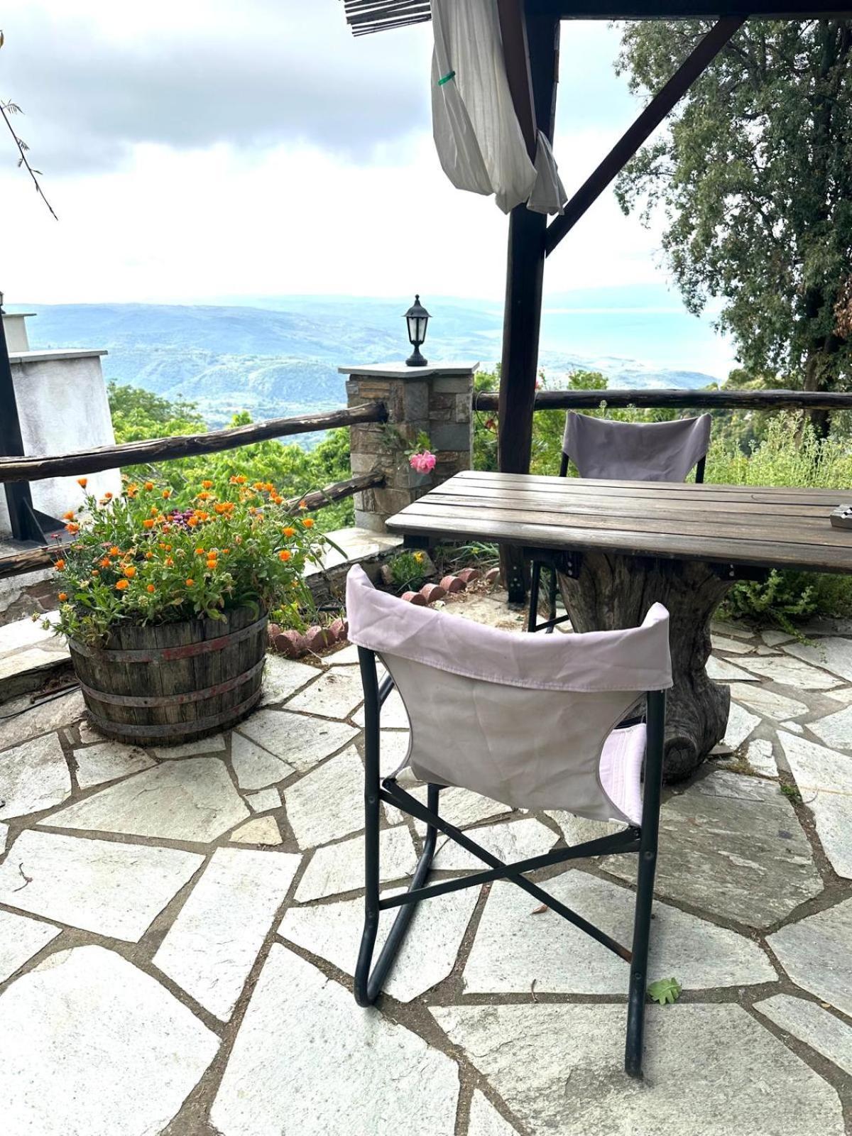 Rastoni Pelion Hotel Vizítsa Buitenkant foto