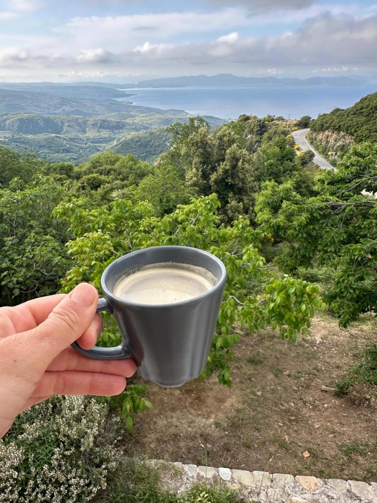 Rastoni Pelion Hotel Vizítsa Buitenkant foto