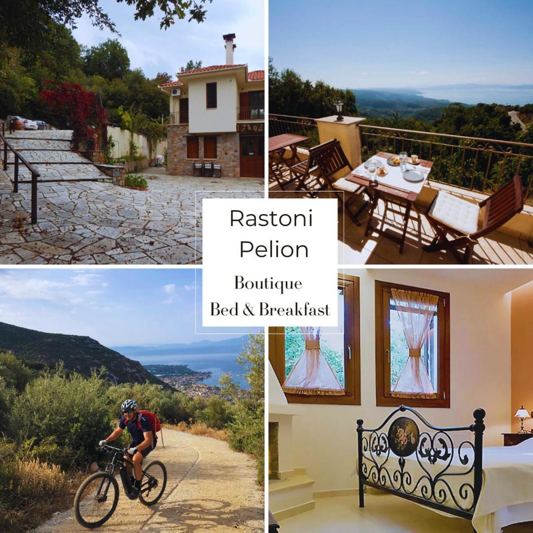 Rastoni Pelion Hotel Vizítsa Buitenkant foto