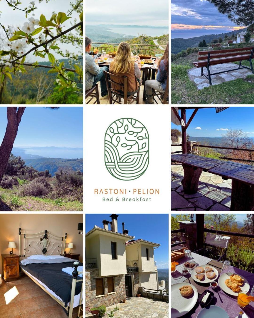 Rastoni Pelion Hotel Vizítsa Buitenkant foto