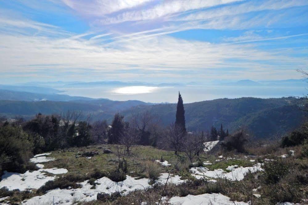 Rastoni Pelion Hotel Vizítsa Buitenkant foto