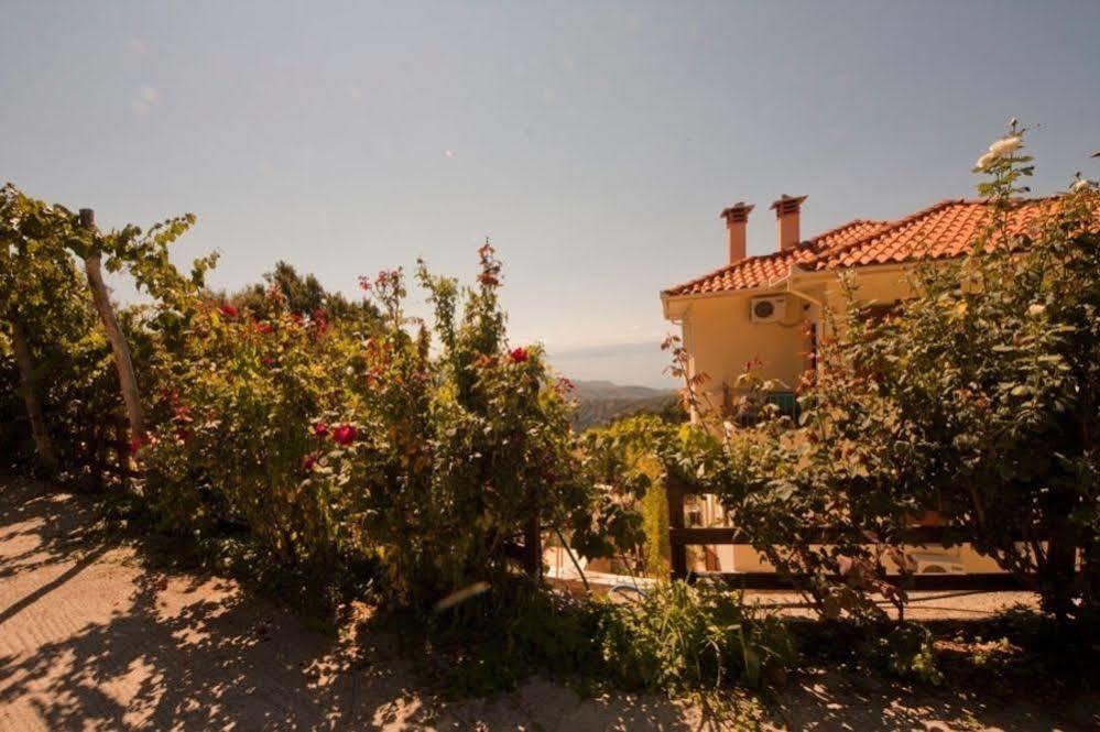 Rastoni Pelion Hotel Vizítsa Buitenkant foto