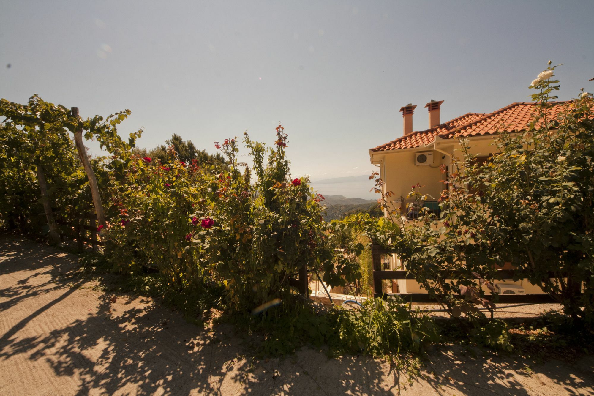 Rastoni Pelion Hotel Vizítsa Buitenkant foto